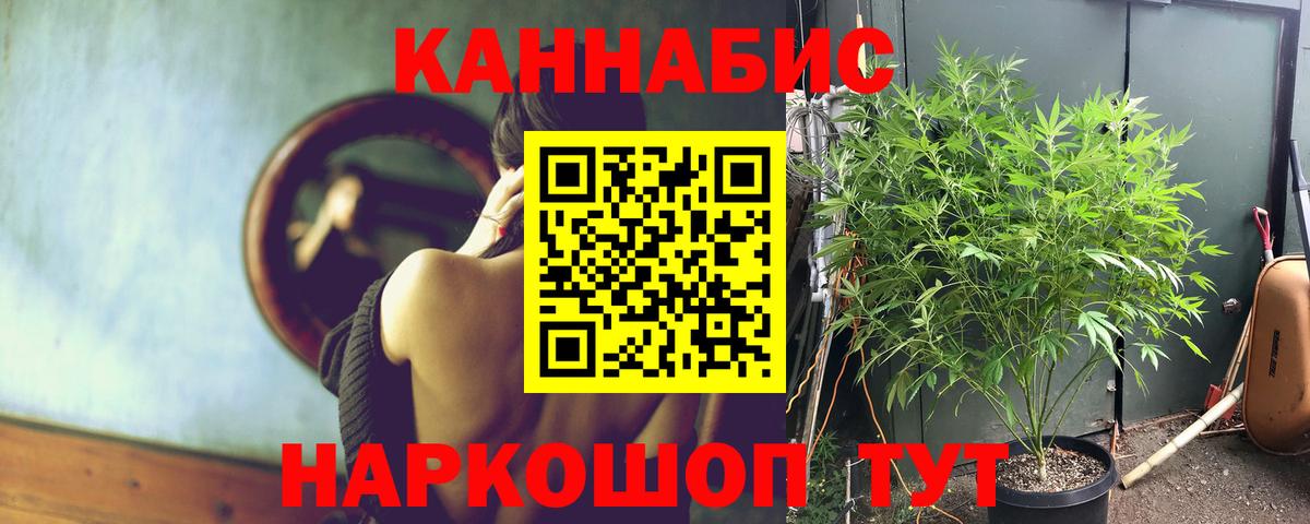 Канабис AK-47  Конопля Amnesia  Вход с VPN  Конопля тримм  Бошки Шишки тримм  Соль-Илецк 